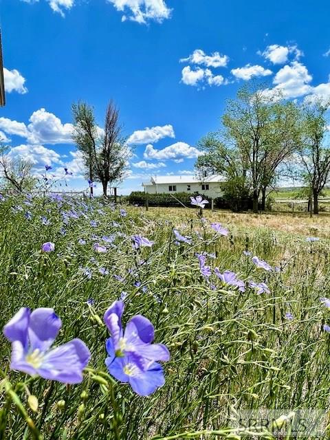 2628 Highway 93 Arco, ID 83213 - Photo 22 of 41