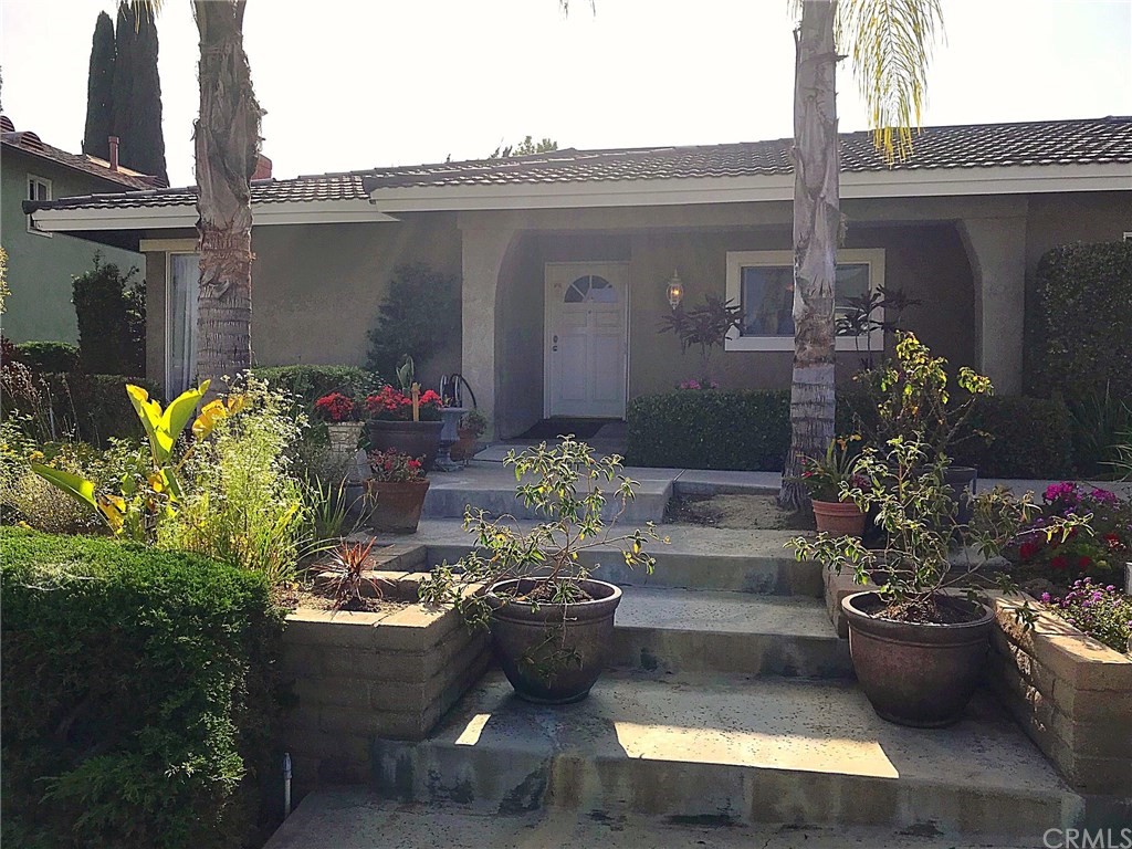 a view of a backyard with potted plants