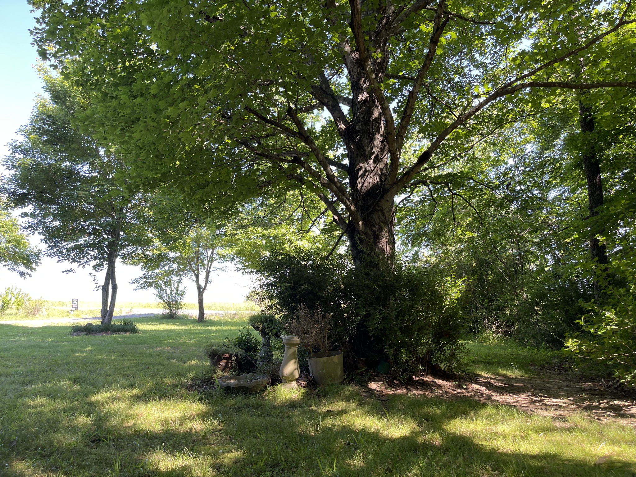 4470 St Paul Road Woodlawn, TN 37191 - Photo 6 of 9 a view of a backyard