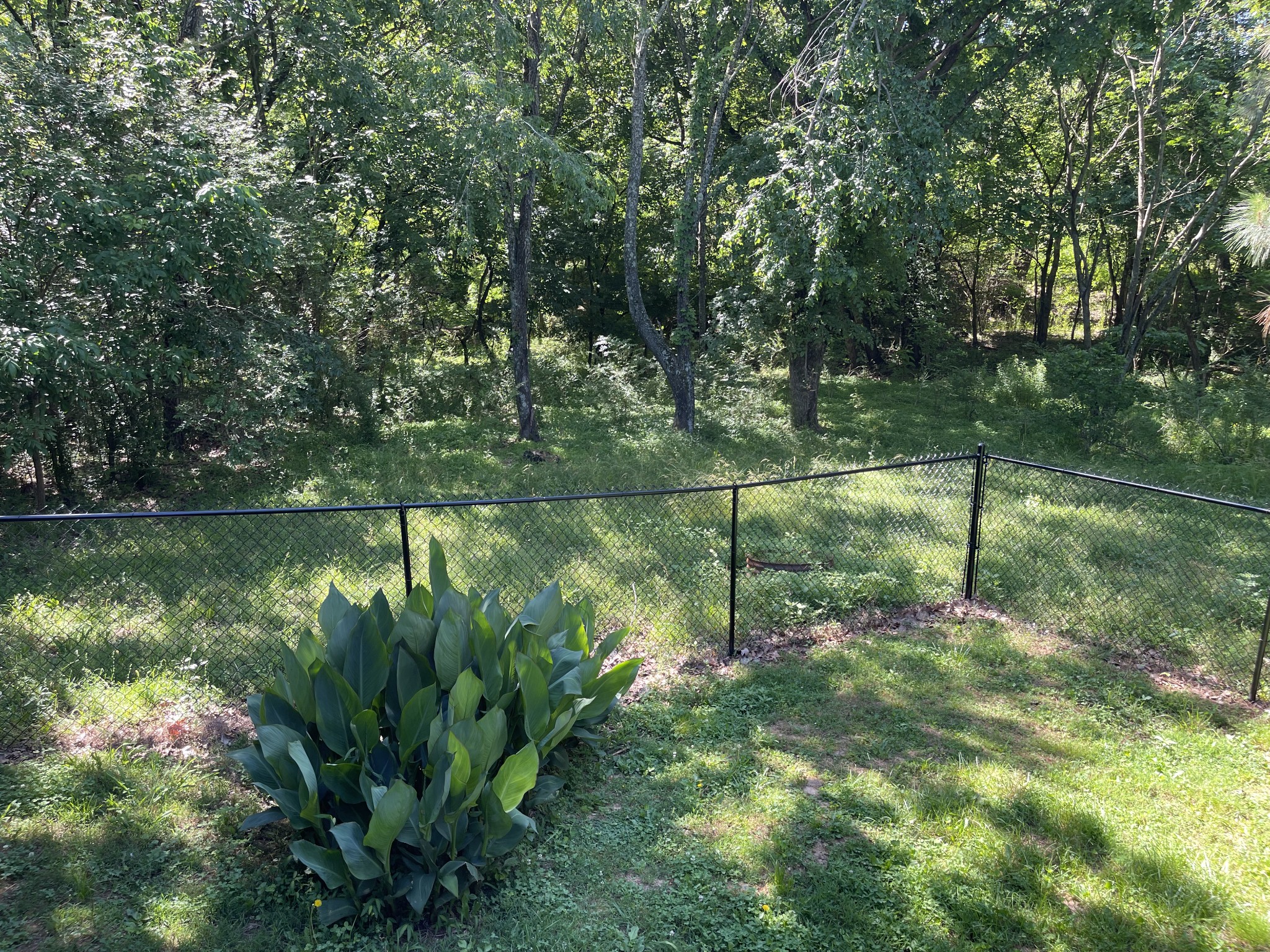 4470 St Paul Road Woodlawn, TN 37191 - Photo 7 of 9