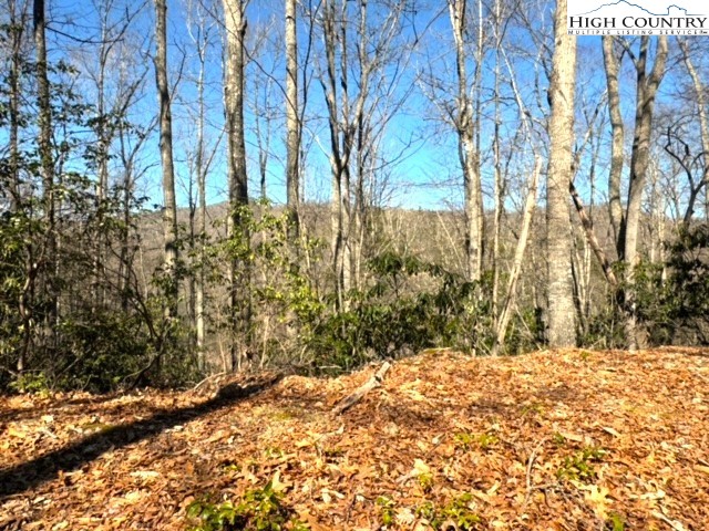 11644 Highway 88 Creston, NC 28615 - Photo 15 of 50 a view of a yard with trees