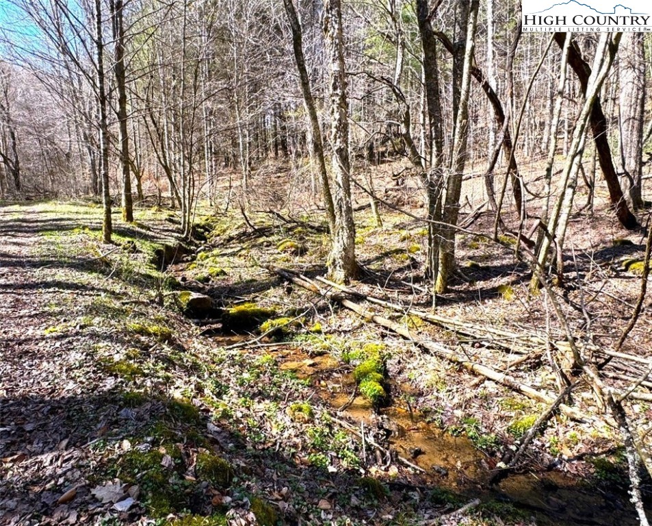 11644 Highway 88 Creston, NC 28615 - Photo 17 of 50 a view of outdoor space with a yard