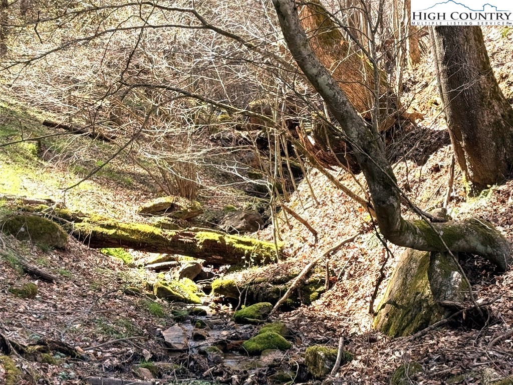 11644 Highway 88 Creston, NC 28615 - Photo 18 of 50