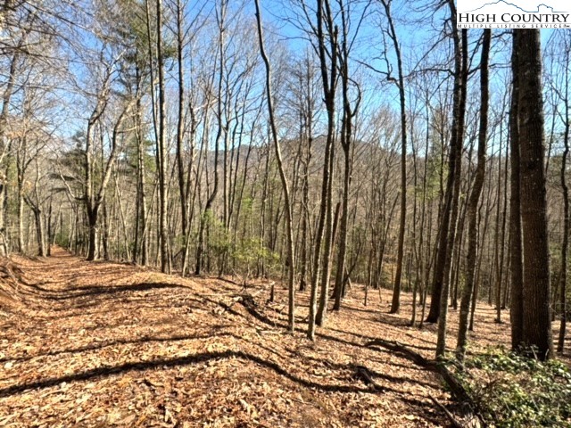 11644 Highway 88 Creston, NC 28615 - Photo 19 of 50 a view of a backyard of the house