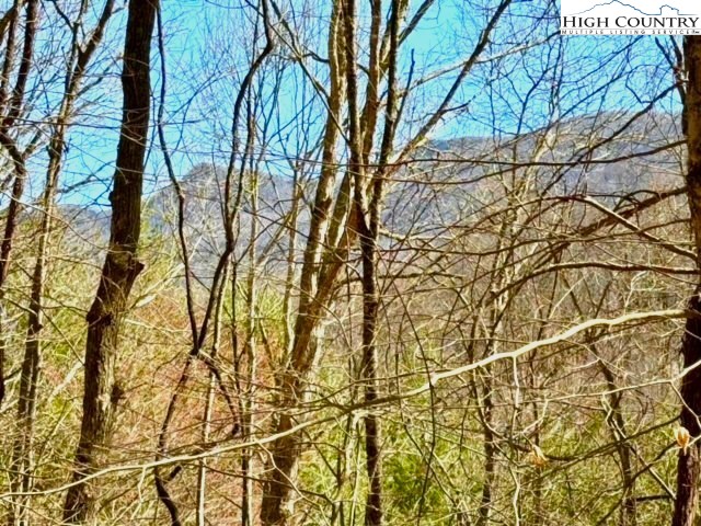 11644 Highway 88 Creston, NC 28615 - Photo 20 of 50 a backyard of a house with lots of trees