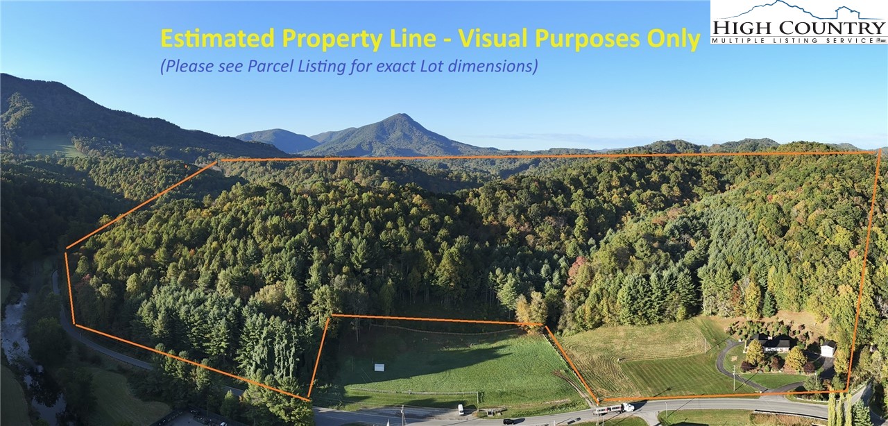 11644 Highway 88 Creston, NC 28615 - Photo 6 of 50 a view of a large tree with a mountain