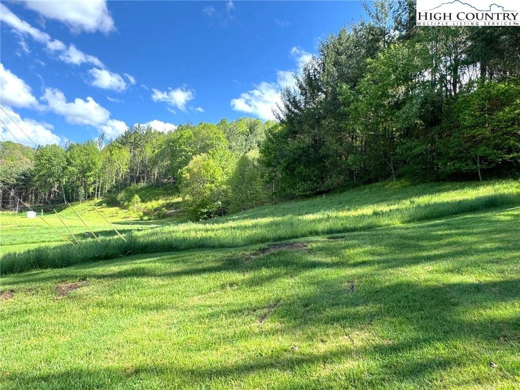 11644 Highway 88 Creston, NC 28615 - Photo 10 of 50 a view of a golf course with a lake