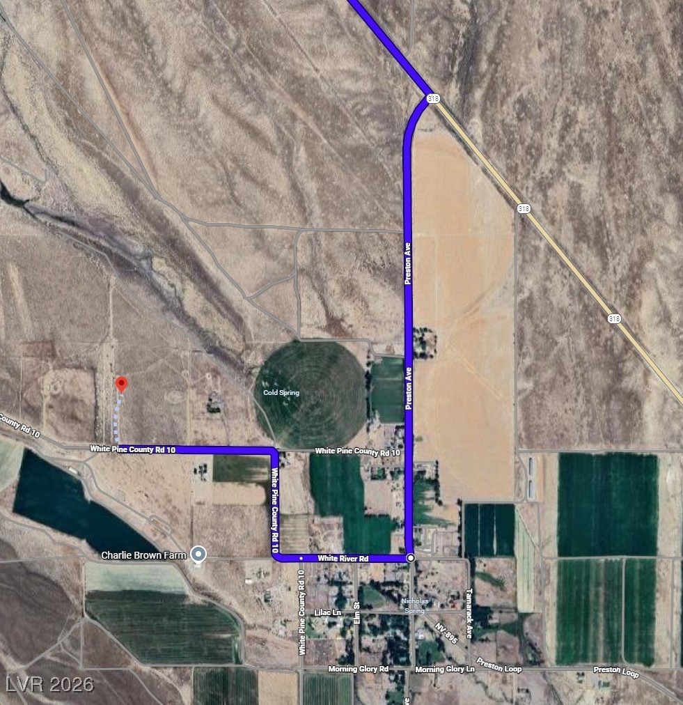 400 West White River Road Lund, NV 89317 - Photo 25 of 27