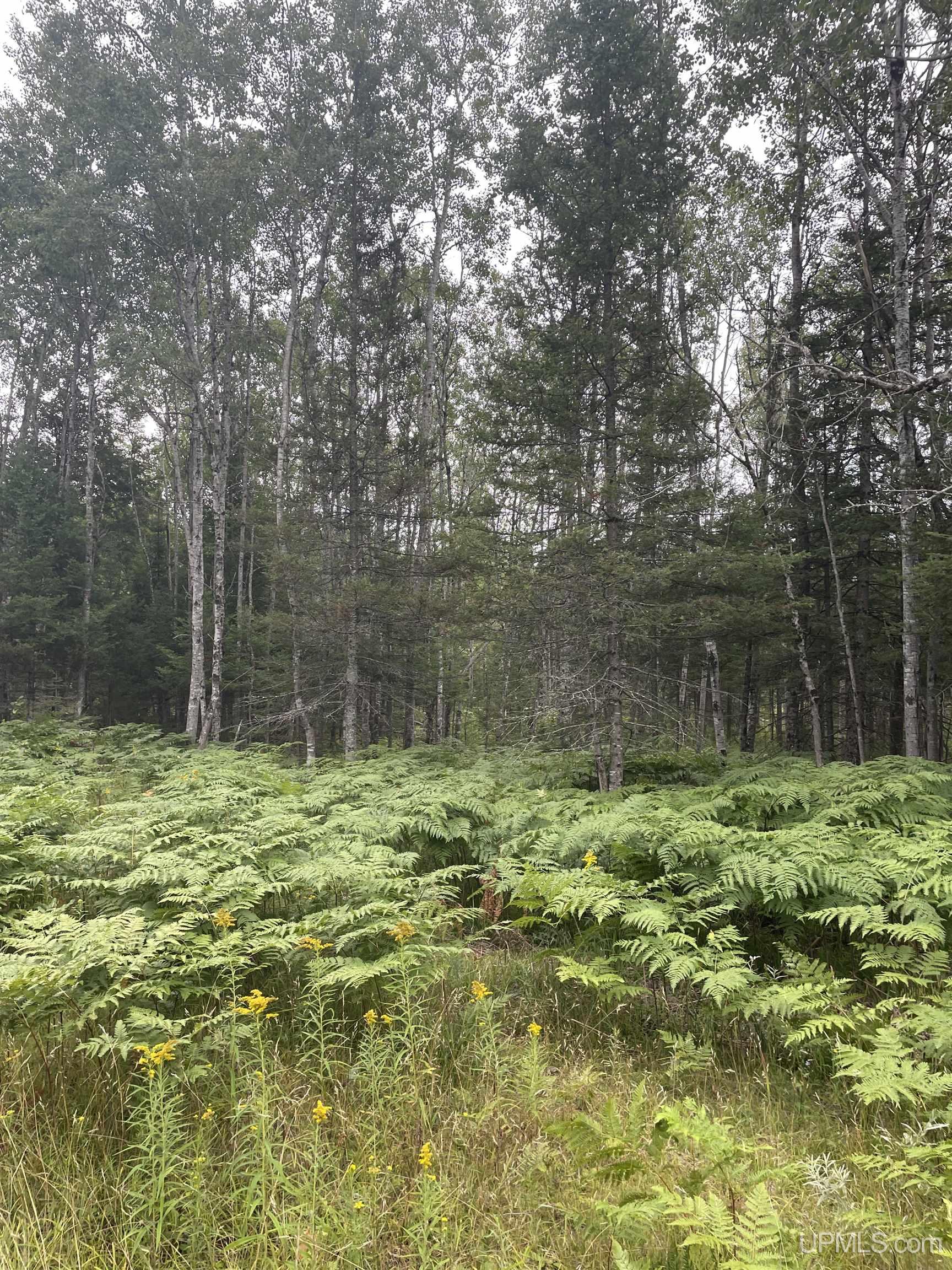 Tbd Tbd County Road, Unit 1 Cornell, MI 49818 - Photo 41 of 41