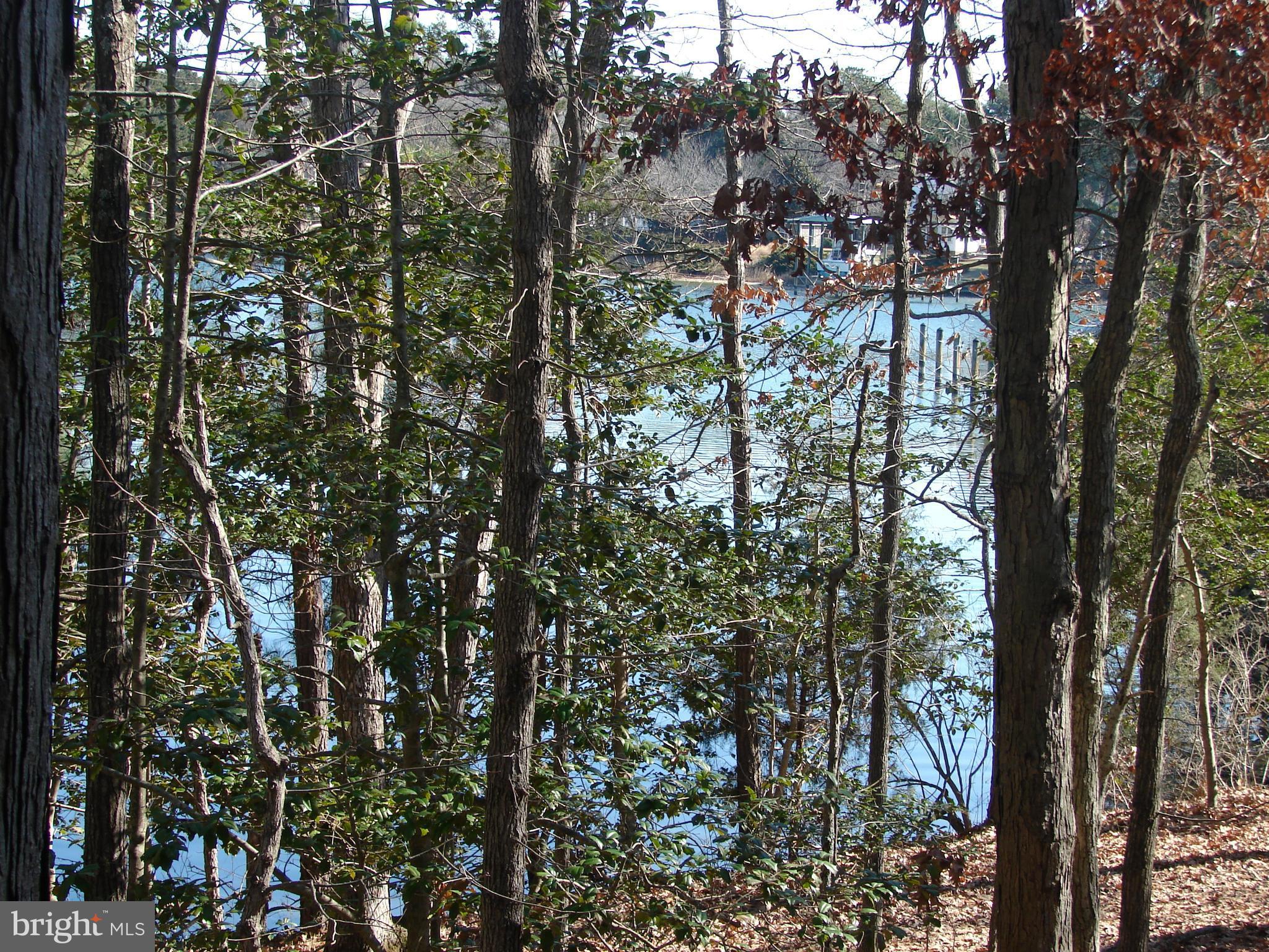 803 Runabout Loop, Unit 803 Solomons, MD 20688 - Photo 22 of 28 Close up of the creek from the deck