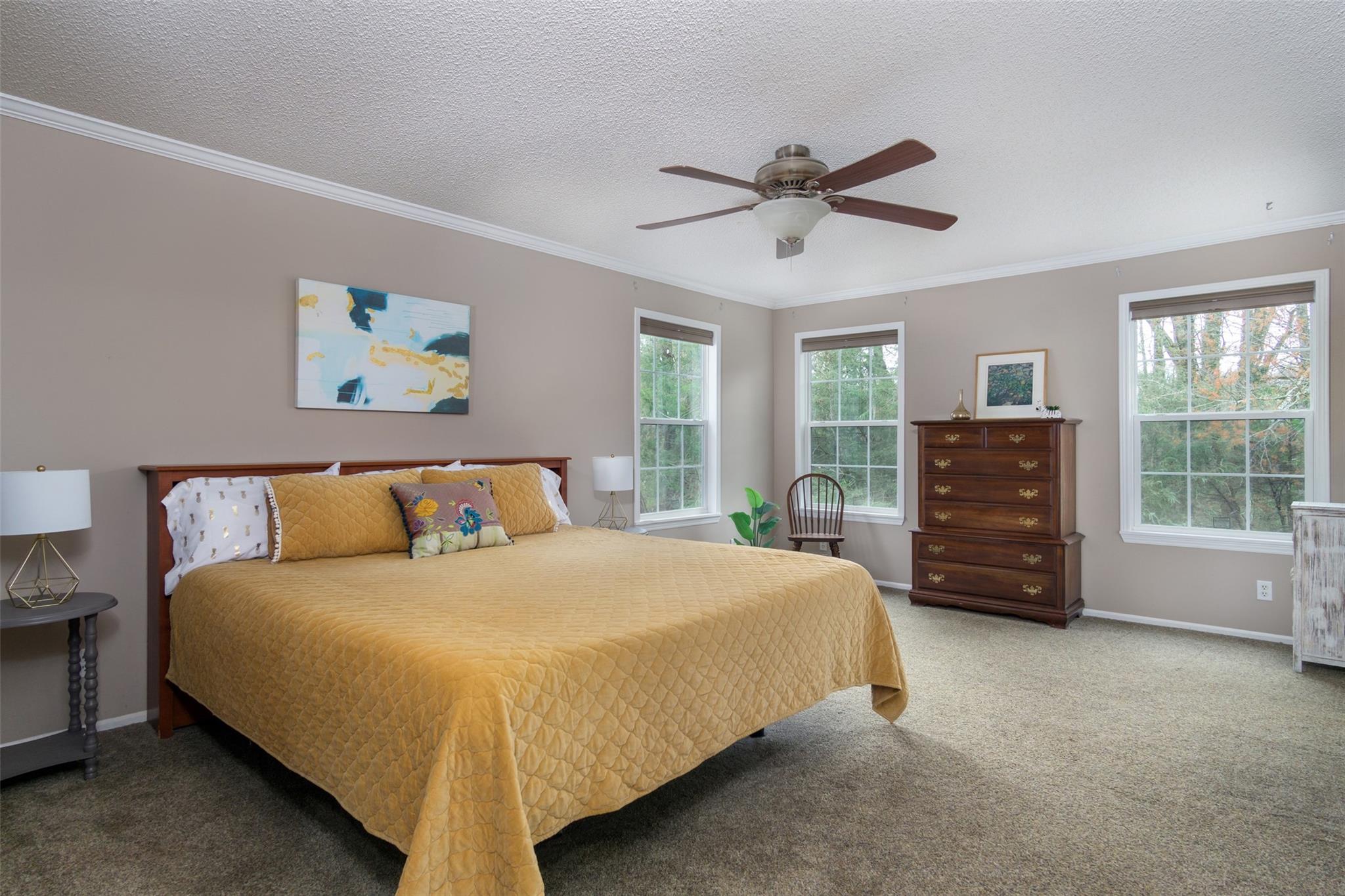 199 Lower Christ School Road Arden, NC 28704 - Photo 15 of 26 Gallery Image 15