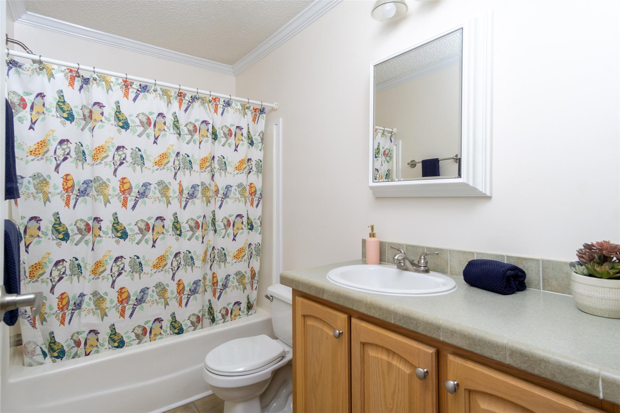 199 Lower Christ School Road Arden, NC 28704 - Photo 20 of 26 Gallery Image 20