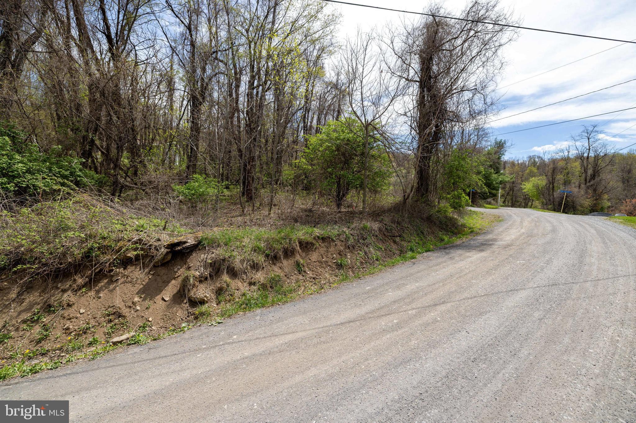 Lot D25 Short Cut Road Stanley, VA 22851 - Photo 48 of 54 Gallery Image 48