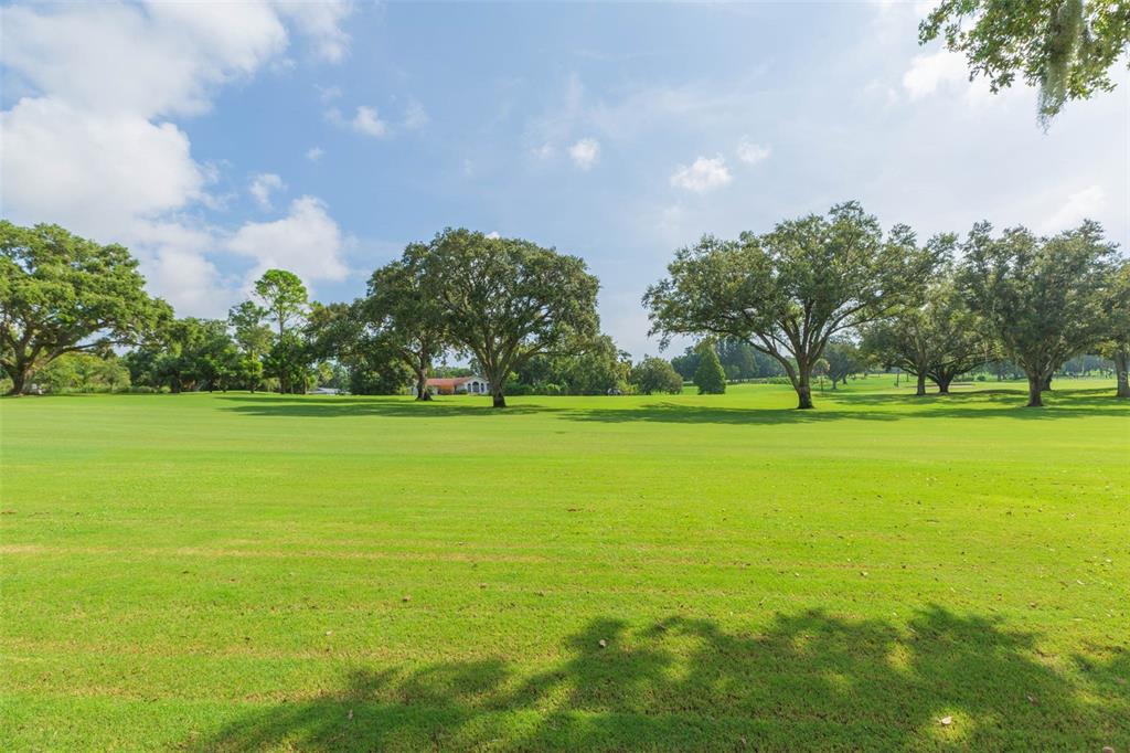 2709 Fairway View Drive Valrico, FL 33596 - Photo 48 of 52