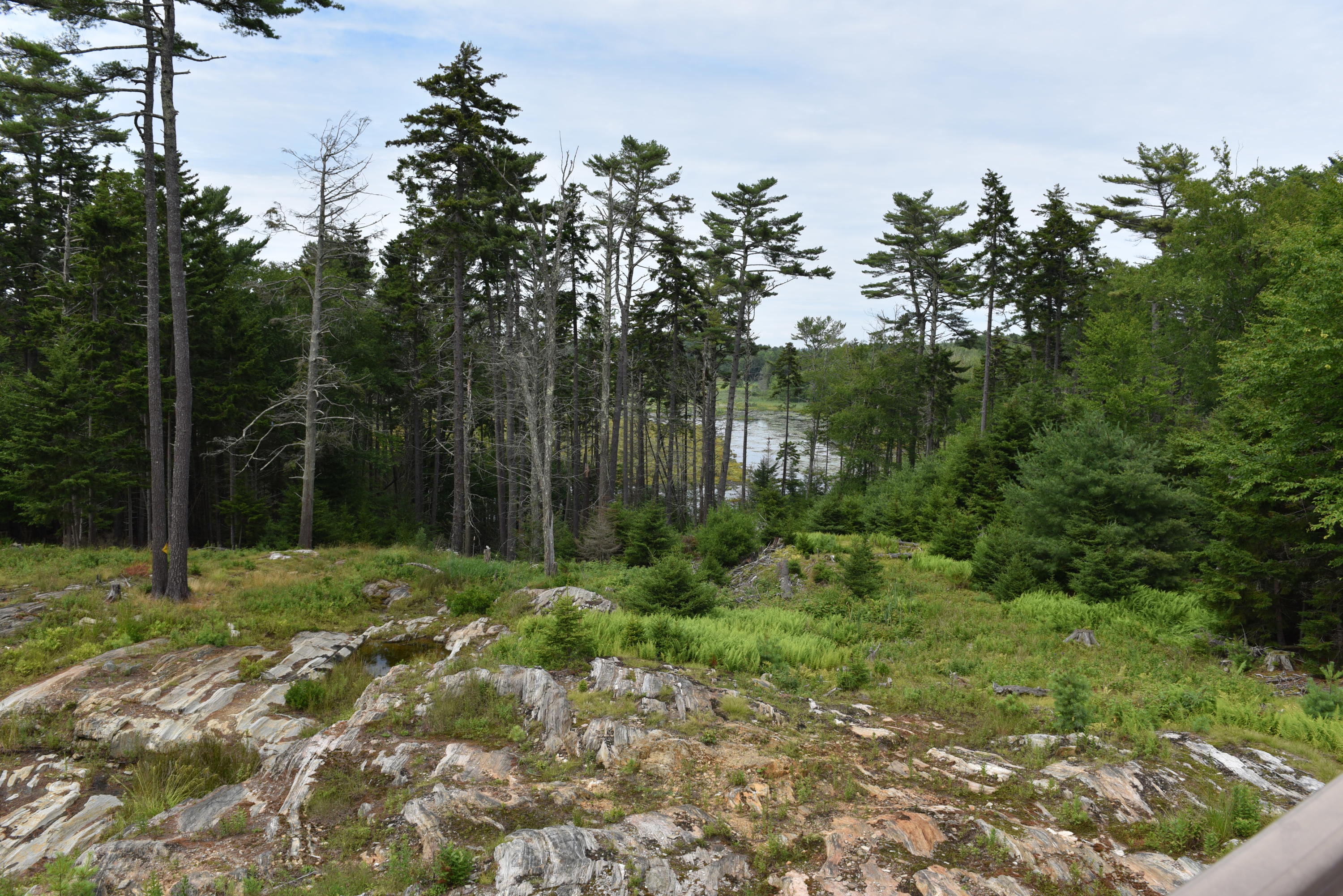 43 Merganser Cove Road Orrs Island, ME 04066 - Photo 13 of 62 DSC_0640