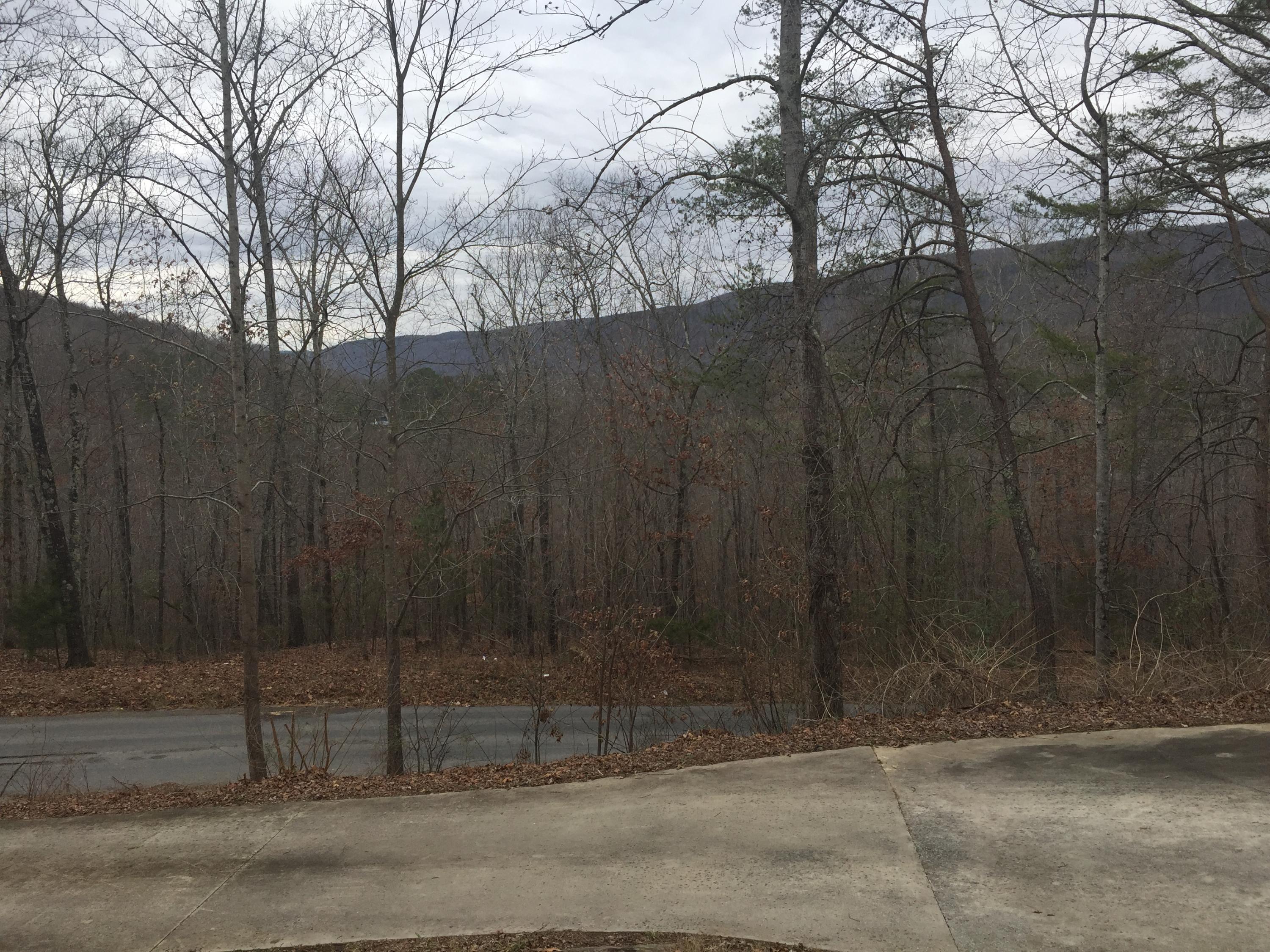 242 Upper Cove Loop Road Dayton, TN 37321 - Photo 34 of 34 IMG_1426