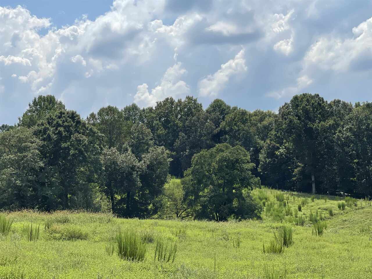 2660 Ball Ground Road, Unit TRACT 2 Ball Ground, GA 30107 - Photo 1 of 1