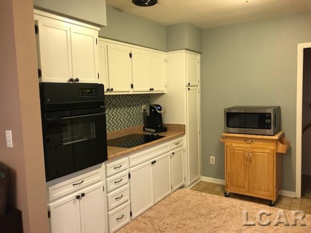2270 Tayer Road Adrian, MI 49221 - Photo 7 of 12 31334837-6.JPG