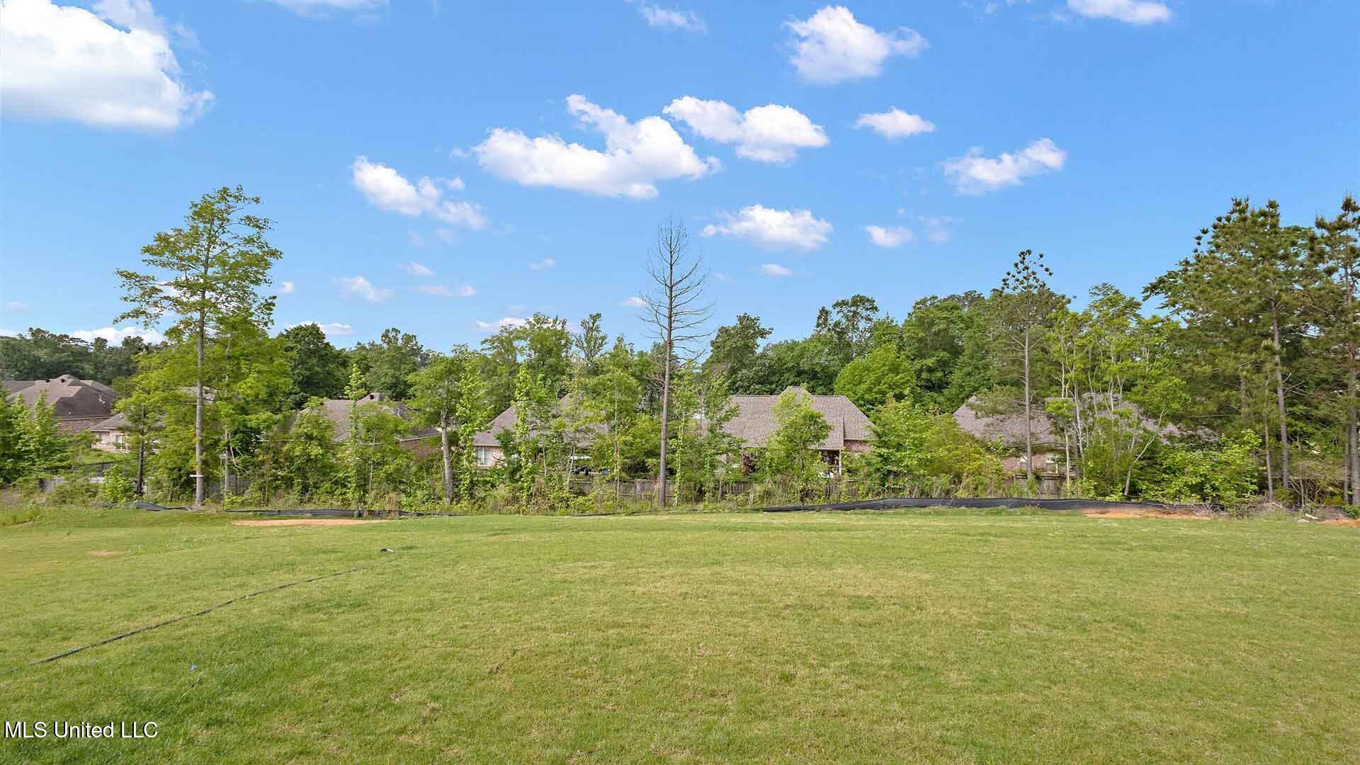 703 Honeysuckle Loop Canton, MS 39046 - Photo 44 of 44 44-3HTP4284