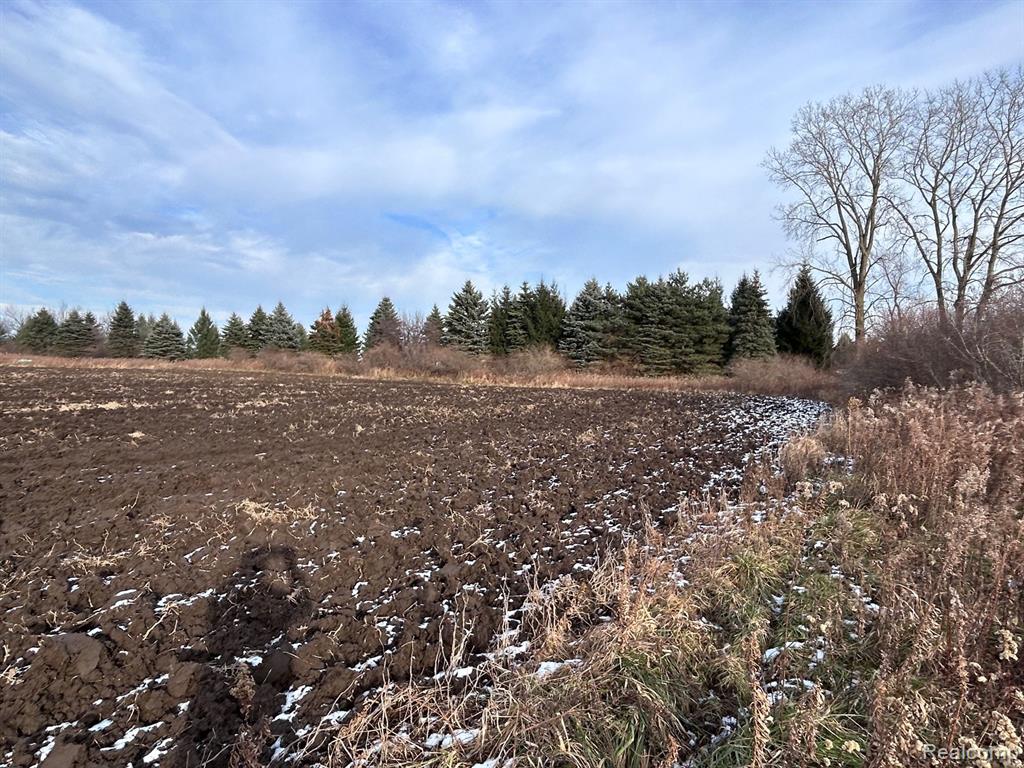 Vl Vl Suewier Road Applegate, MI 48401 - Photo 4 of 11