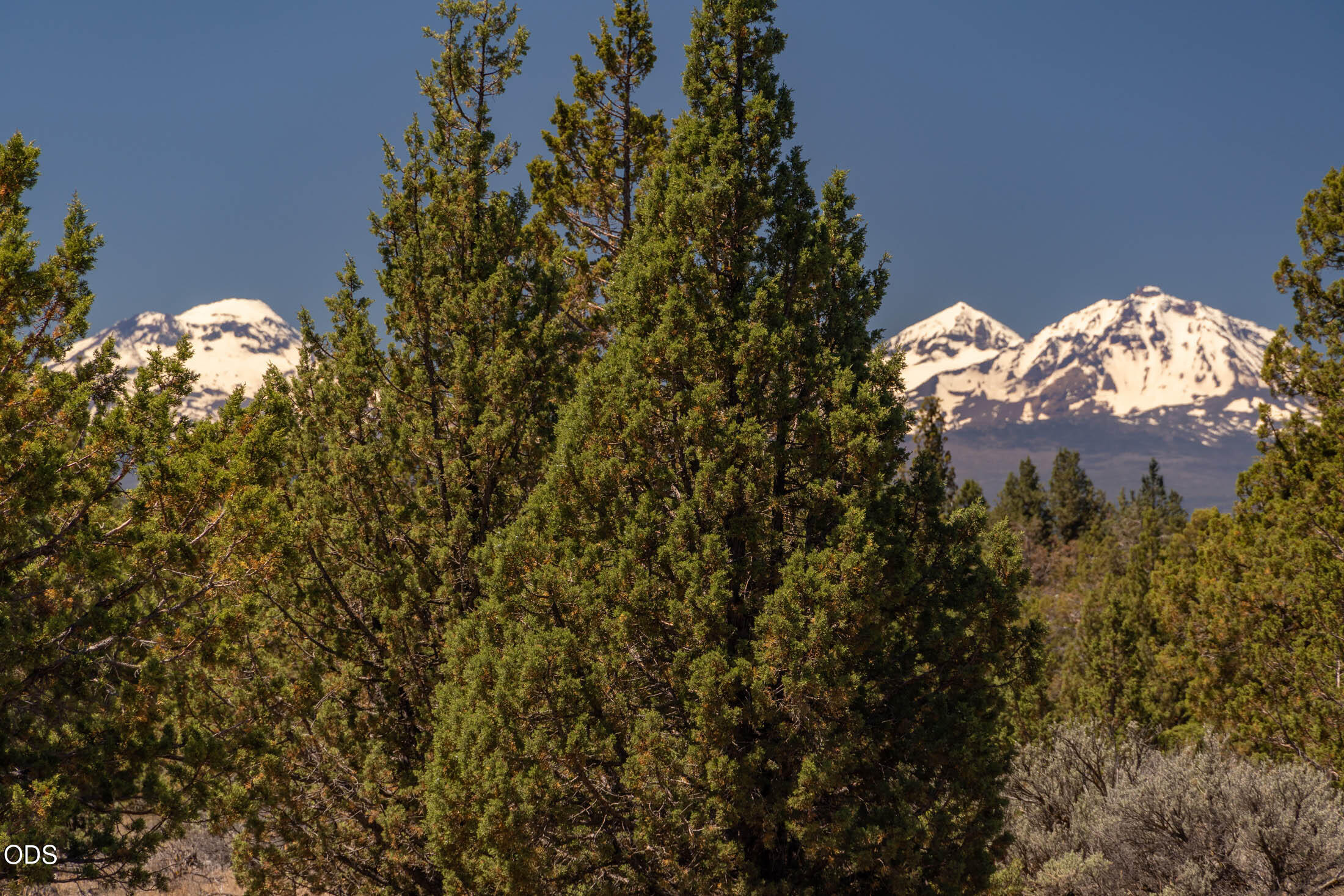 0 Southwest Blue Jay Road Terrebonne, OR 97760 - Photo 3 of 14