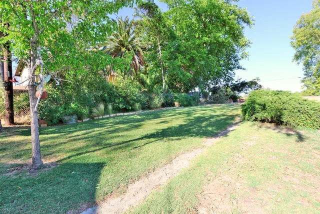 a view of a park with large trees