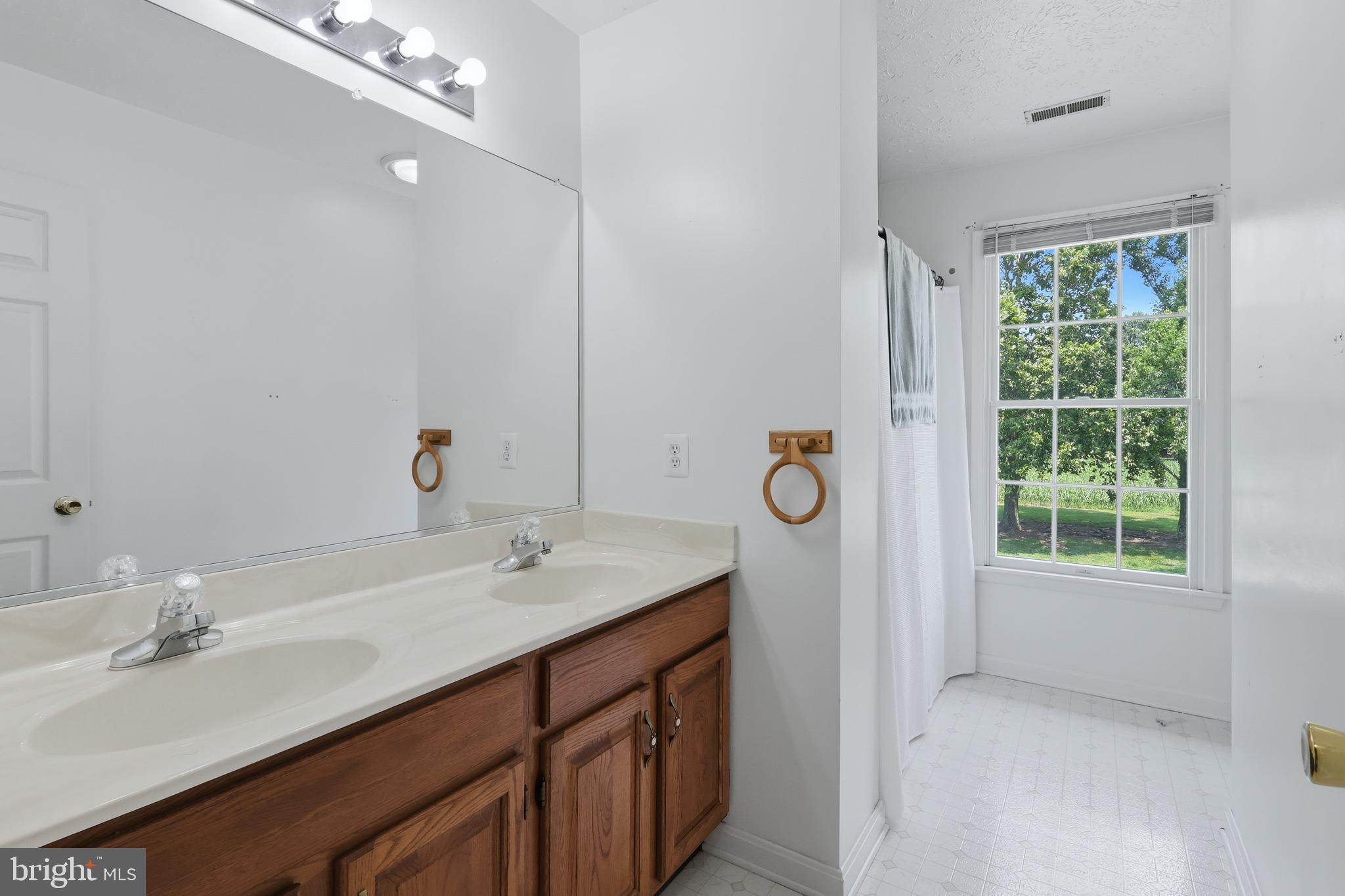 20665 Golden Thompson Road Avenue, MD 20609 - Photo 29 of 55 Hall Bathroom w/ double sinks