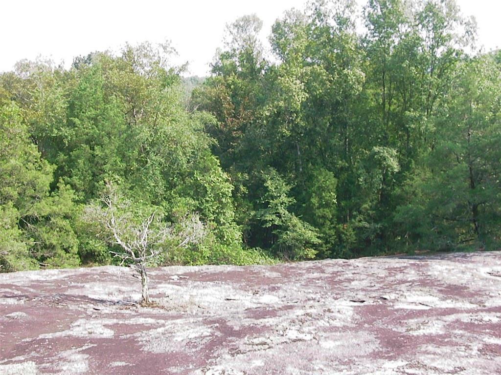 0 Rabbit Farm Road Loganville, GA 30052 - Photo 11 of 29 a view of a field with trees in the background
