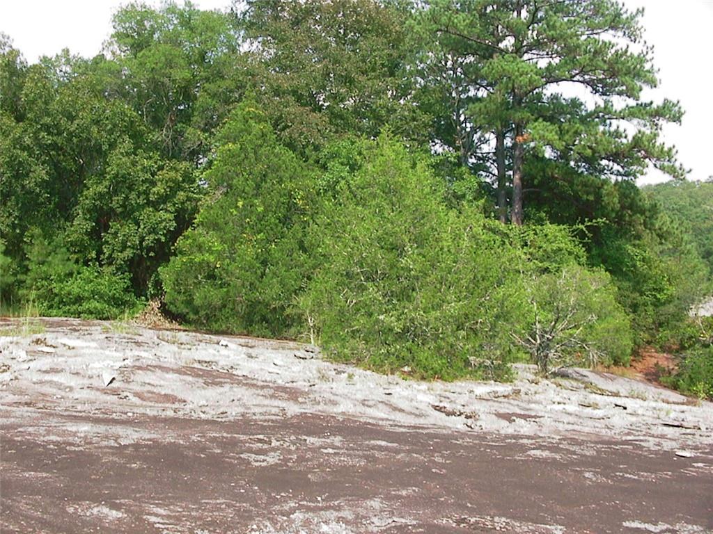 0 Rabbit Farm Road Loganville, GA 30052 - Photo 12 of 29 a wooden bench with view of road