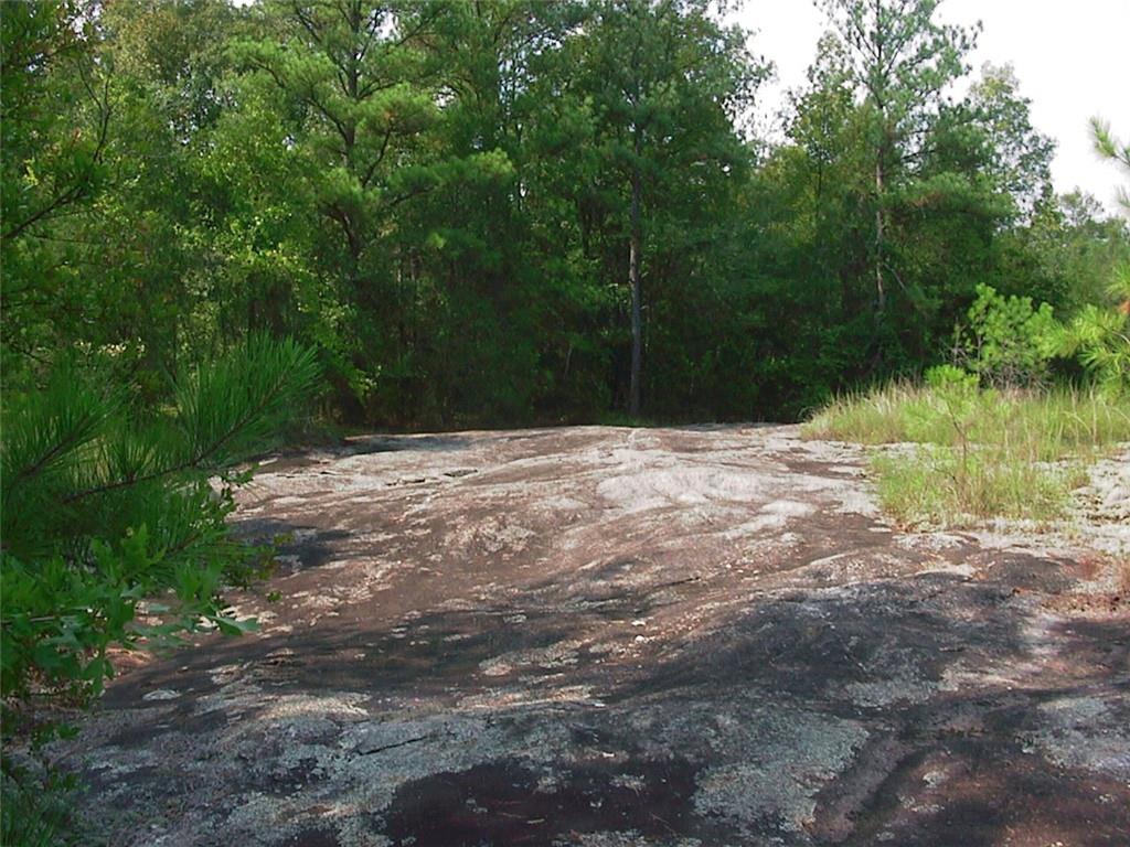 0 Rabbit Farm Road Loganville, GA 30052 - Photo 13 of 29 a backyard of a house with lots of green space