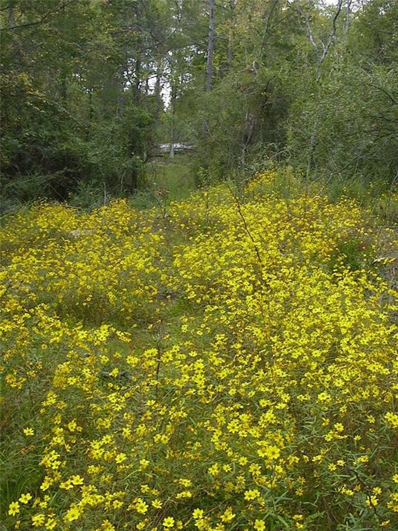 0 Rabbit Farm Road Loganville, GA 30052 - Photo 15 of 29 a view of a lake view
