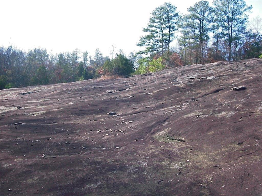 0 Rabbit Farm Road Loganville, GA 30052 - Photo 16 of 29 a view of a yard with a tree