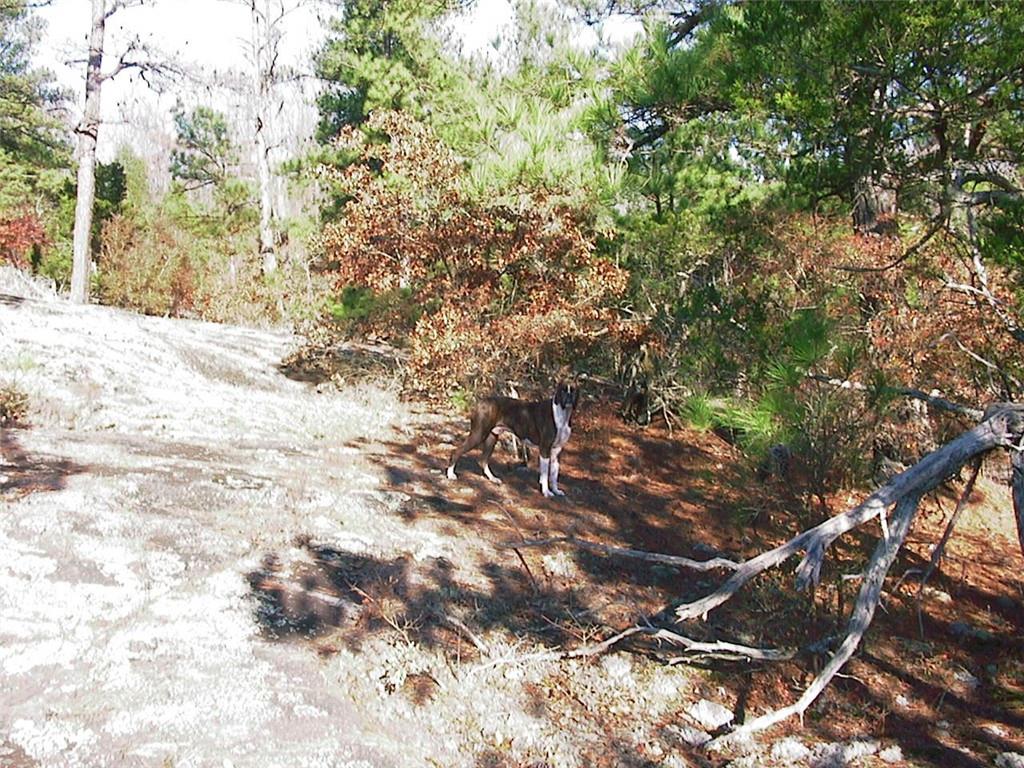 0 Rabbit Farm Road Loganville, GA 30052 - Photo 17 of 29