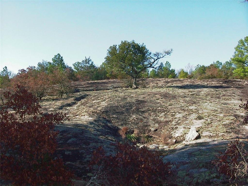 0 Rabbit Farm Road Loganville, GA 30052 - Photo 18 of 29 a view of a yard with trees in the background