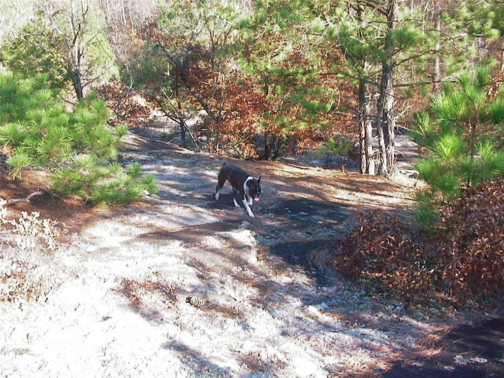 0 Rabbit Farm Road Loganville, GA 30052 - Photo 19 of 29 a backyard of a house with lots of green space