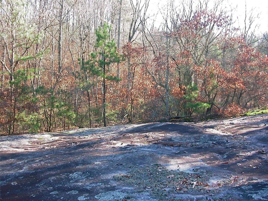 0 Rabbit Farm Road Loganville, GA 30052 - Photo 20 of 29 a view of dirt yard with a large tree