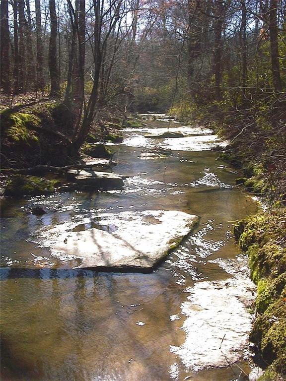 0 Rabbit Farm Road Loganville, GA 30052 - Photo 2 of 29 a view of a lake view
