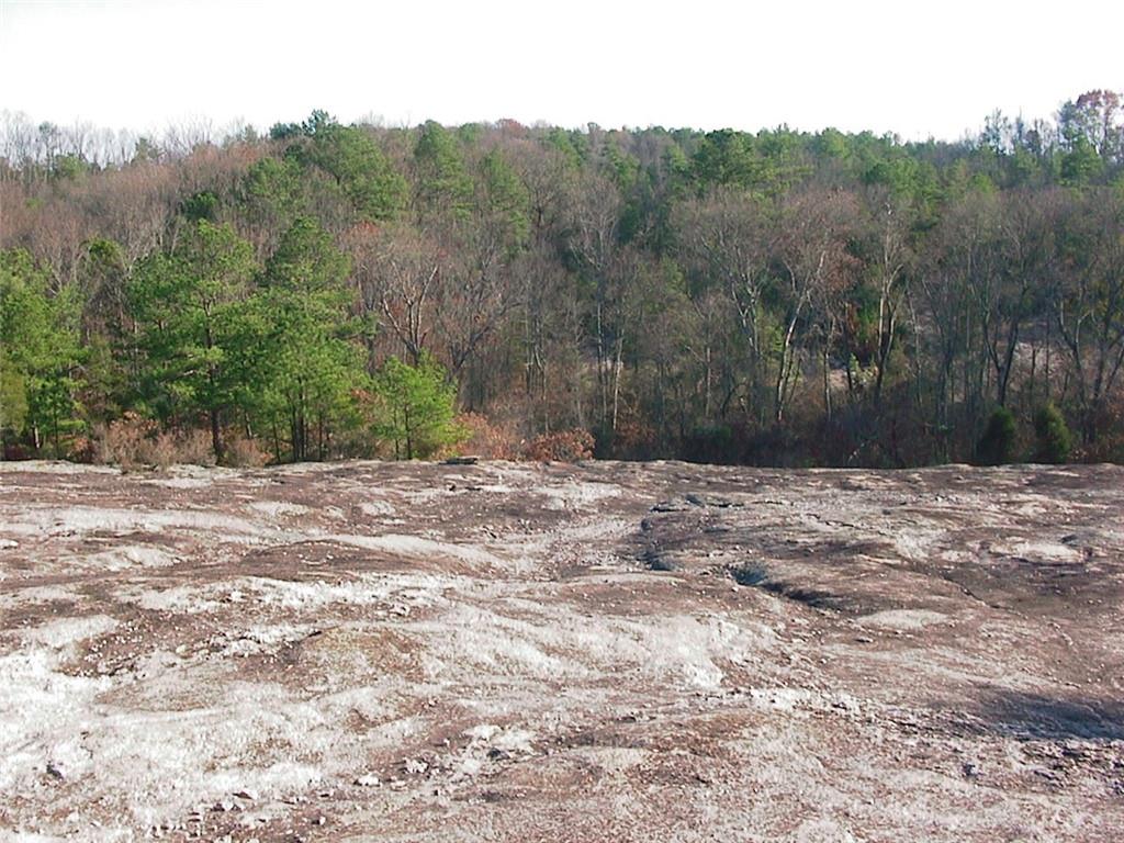 0 Rabbit Farm Road Loganville, GA 30052 - Photo 21 of 29 a view of a backyard