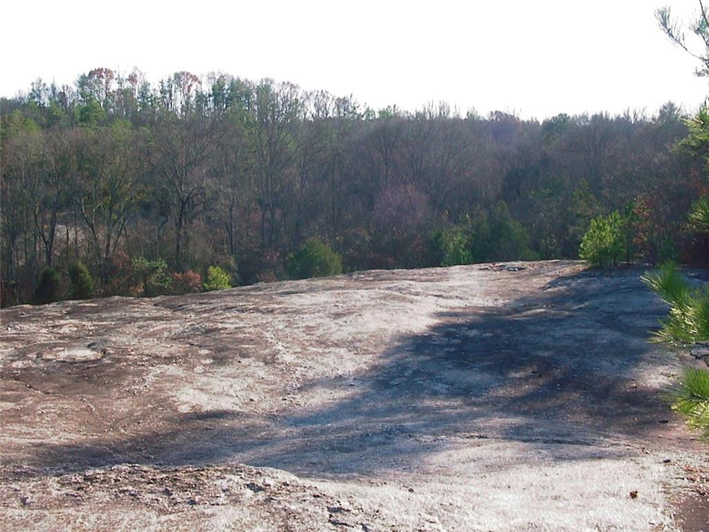 0 Rabbit Farm Road Loganville, GA 30052 - Photo 22 of 29 a view of backyard with green space