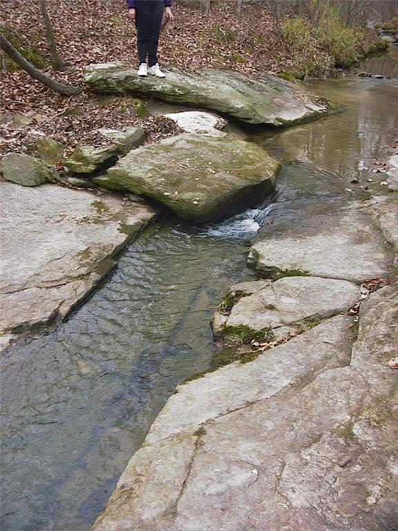 0 Rabbit Farm Road Loganville, GA 30052 - Photo 24 of 29 a view of a wooden floor