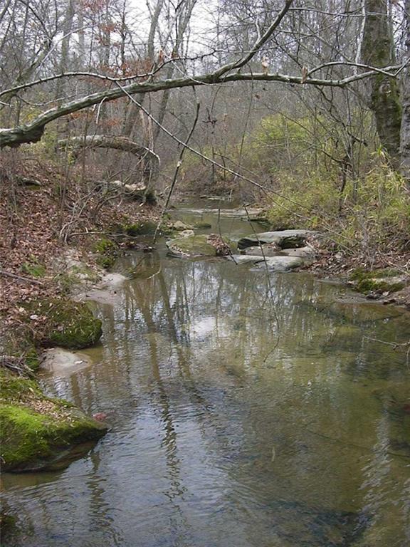 0 Rabbit Farm Road Loganville, GA 30052 - Photo 25 of 29
