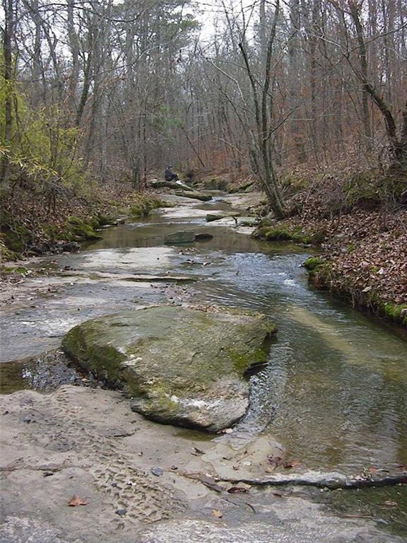0 Rabbit Farm Road Loganville, GA 30052 - Photo 26 of 29 a view of a wooden floor