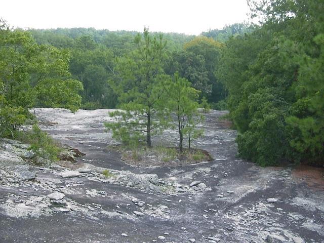 0 Rabbit Farm Road Loganville, GA 30052 - Photo 29 of 29 a view of a yard with a tree