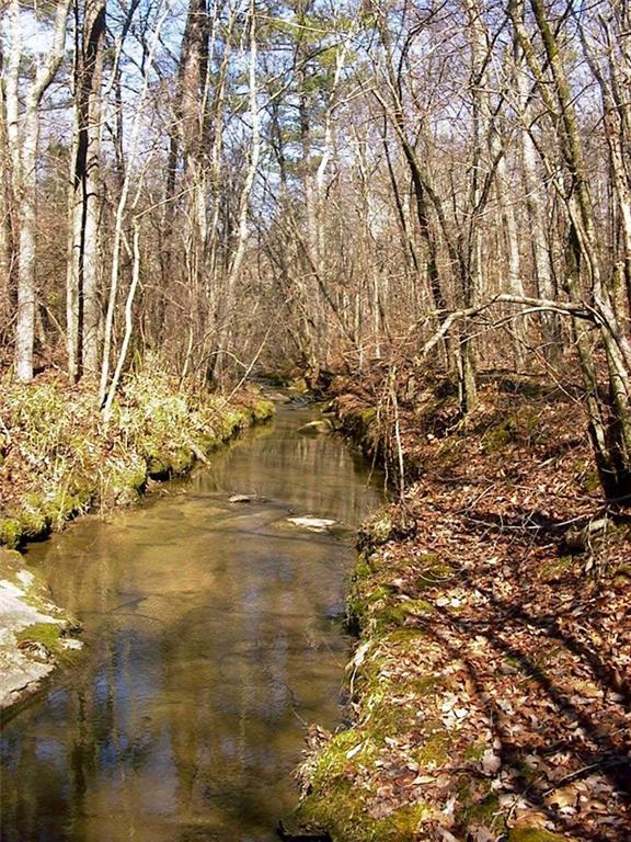 0 Rabbit Farm Road Loganville, GA 30052 - Photo 4 of 29