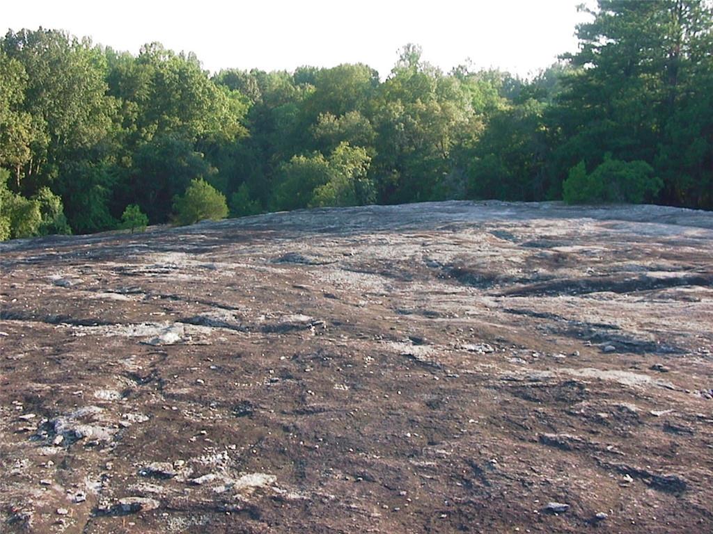 0 Rabbit Farm Road Loganville, GA 30052 - Photo 5 of 29 a view of a middle of a yard