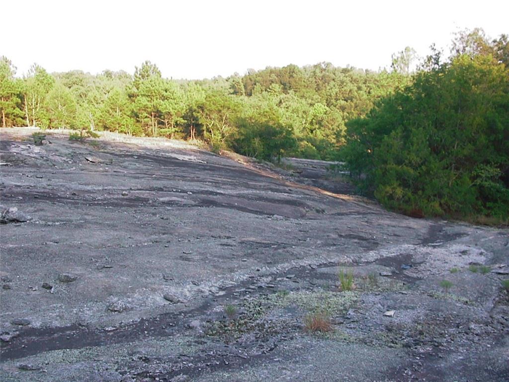 0 Rabbit Farm Road Loganville, GA 30052 - Photo 8 of 29 a view of an outdoor space with wooden fence
