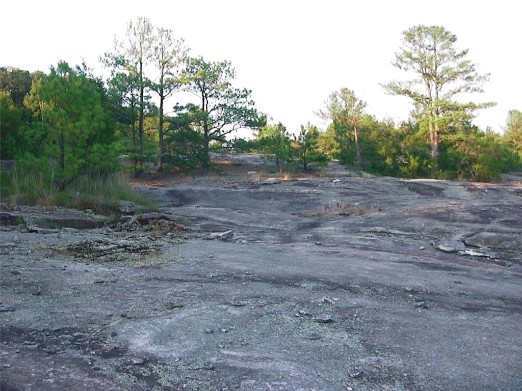 0 Rabbit Farm Road Loganville, GA 30052 - Photo 9 of 29 a view of an outdoor space