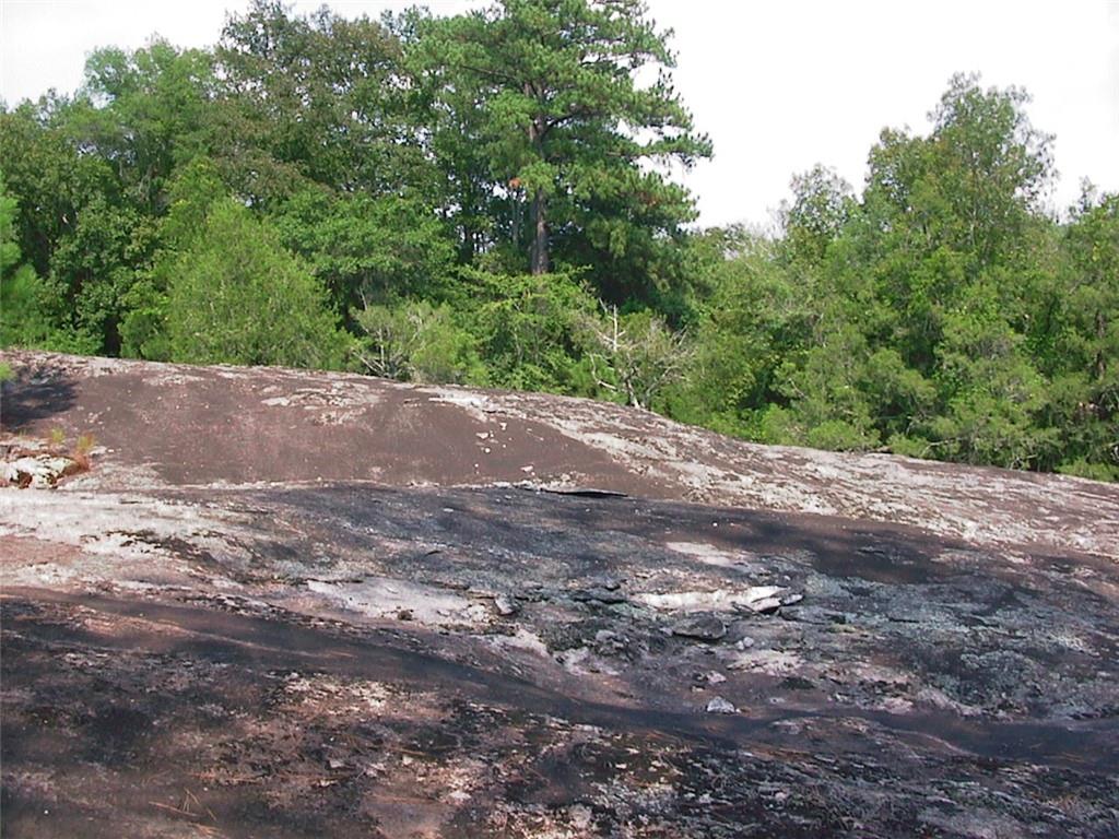 0 Rabbit Farm Road Loganville, GA 30052 - Photo 10 of 29 a view of a yard with green space