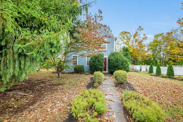 a view of a yard with plants and trees