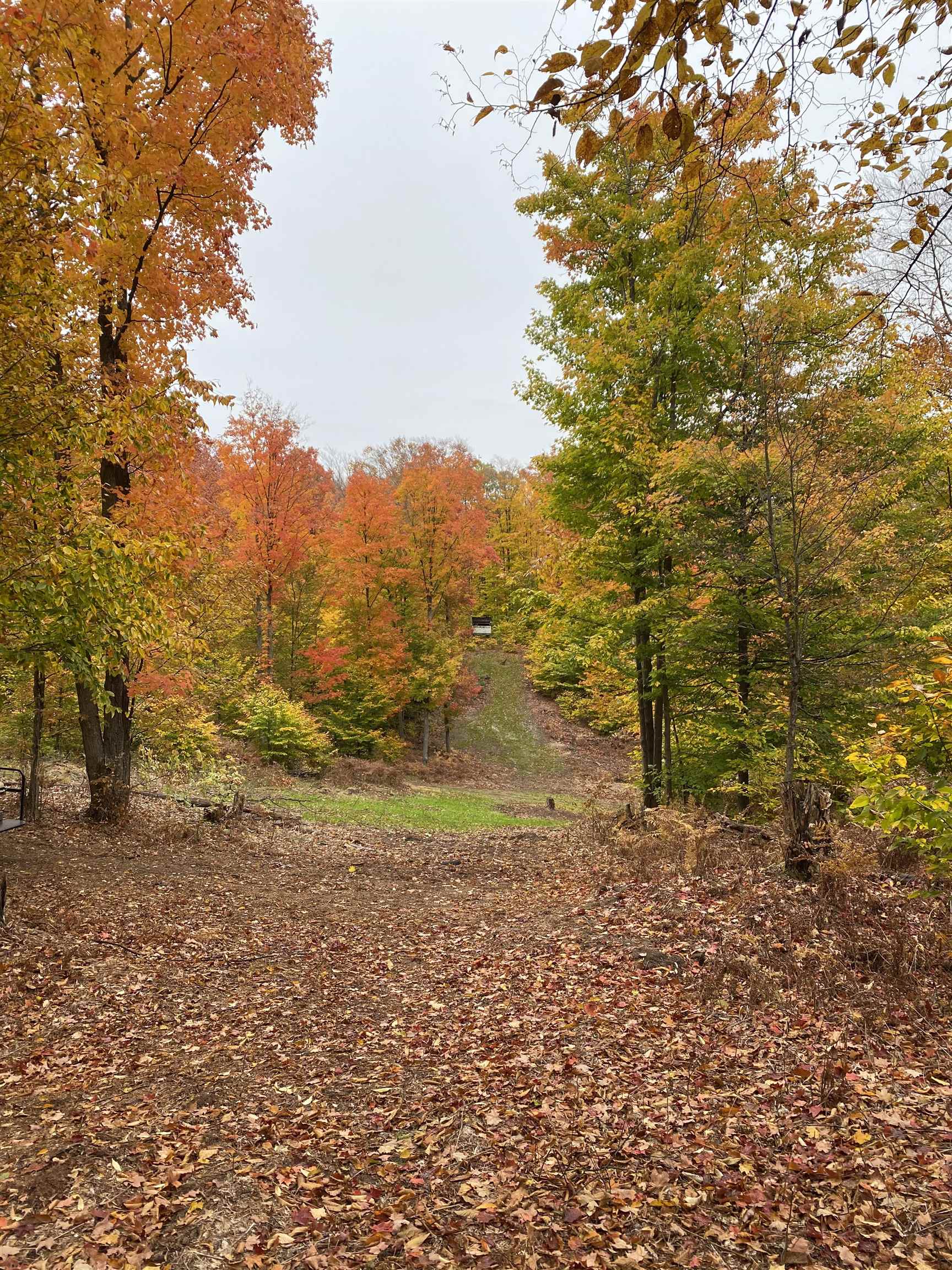 3785 North 33 Road Manton, MI 49663 - Photo 18 of 19